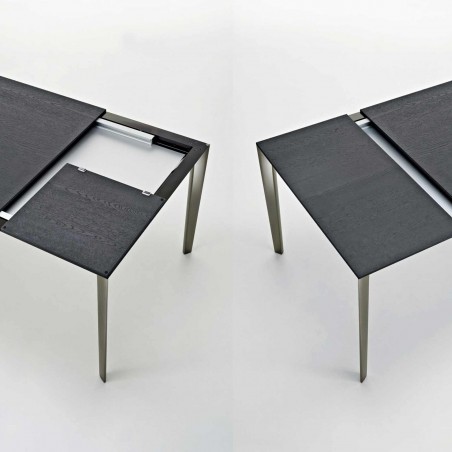 Molteni&C - Table Extensible Filigree