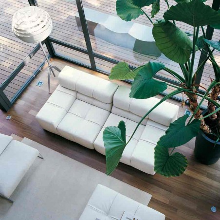 B&B Italia - Tufty Time Divano