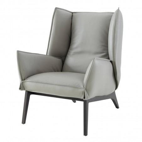 Ligne Roset - Toa Armchair