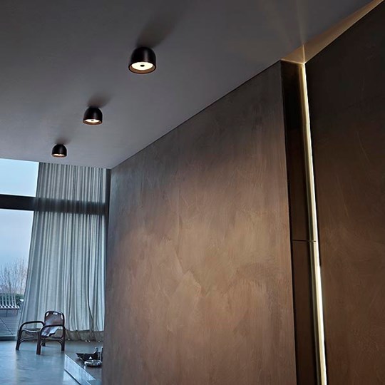 flos_pesaro